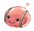 펫